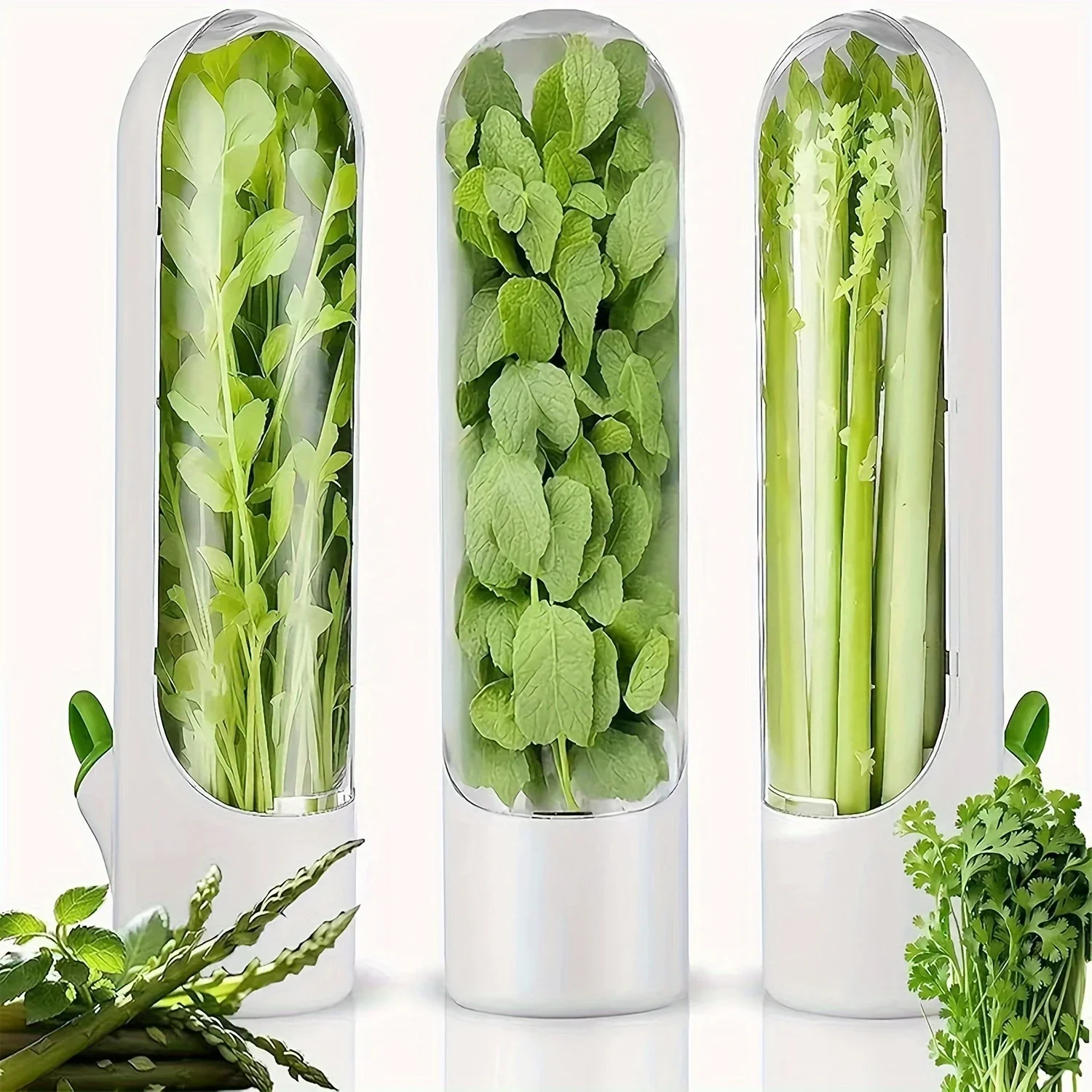 Vegetable Crisper Set with Cilantro, Mint, Parsley, Asparagus, Herbs Other Kitchen Essentials Kitchen Organizers & Storage Boxes