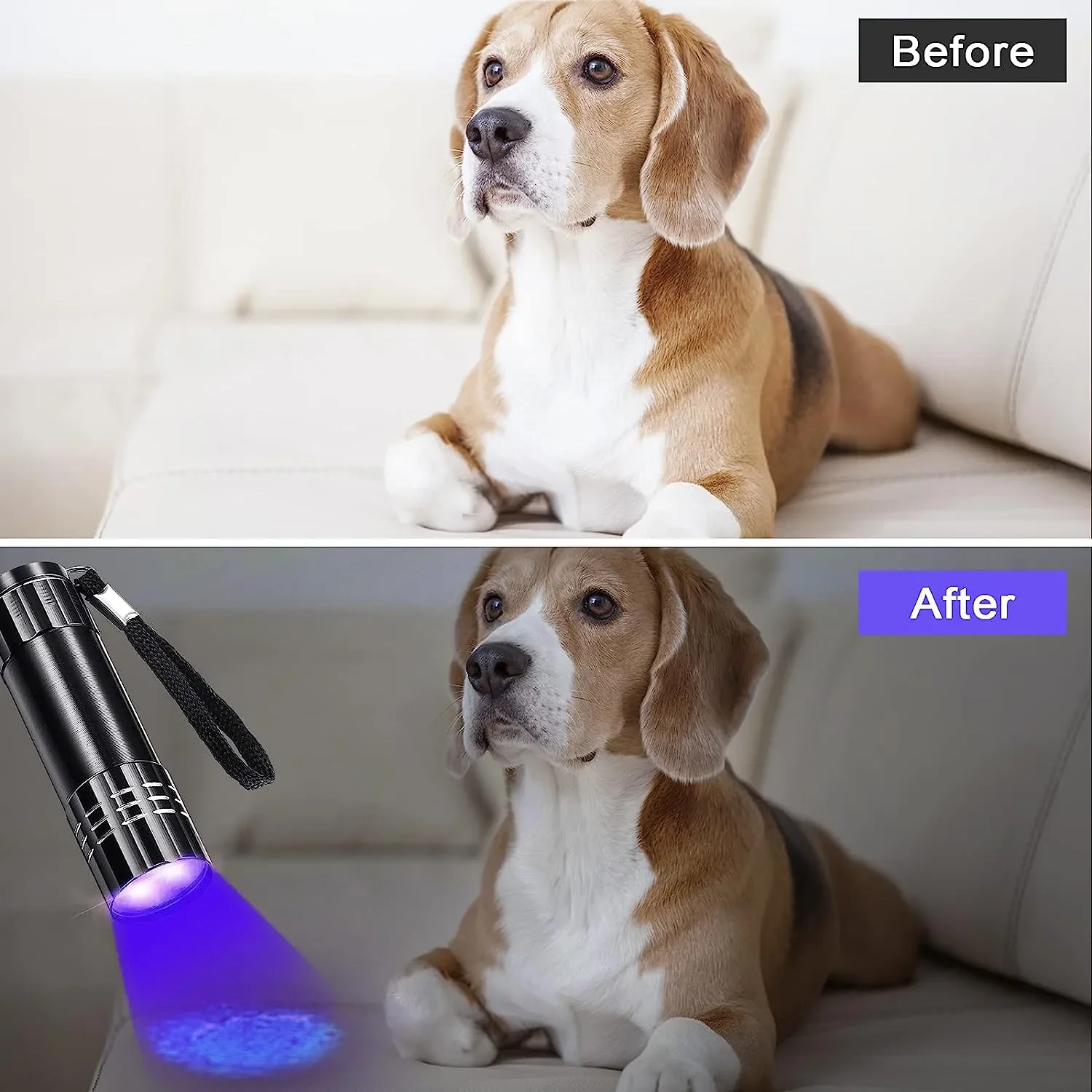 395-400nm Black Light Flashlights UV Flashlight Ultraviolet Lamp UV Torch UV Light Detector for Pet Urine Stain Dry Stain