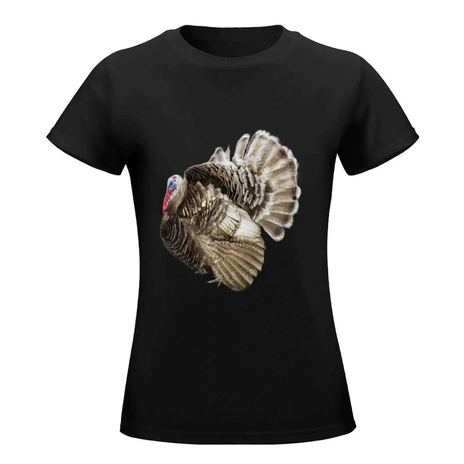 Chocolate turkey T-Shirt graphics aesthetic clothes korean fashion t-shirt dress for Women sexy