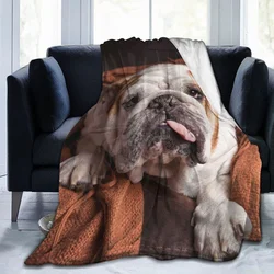 English Bulldog Pattern Throw Blanket, Lightweight, Funny, Thin, Coral, Home, Office, Winter