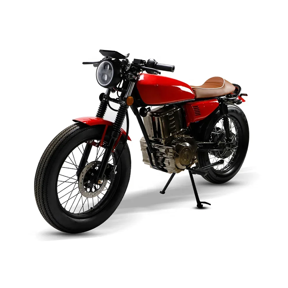

Luyuan Luyuan MotorcycleProfessional Manufacturer Customizable 1800W Fat Tire High Speed Electric Bike Motorcycles