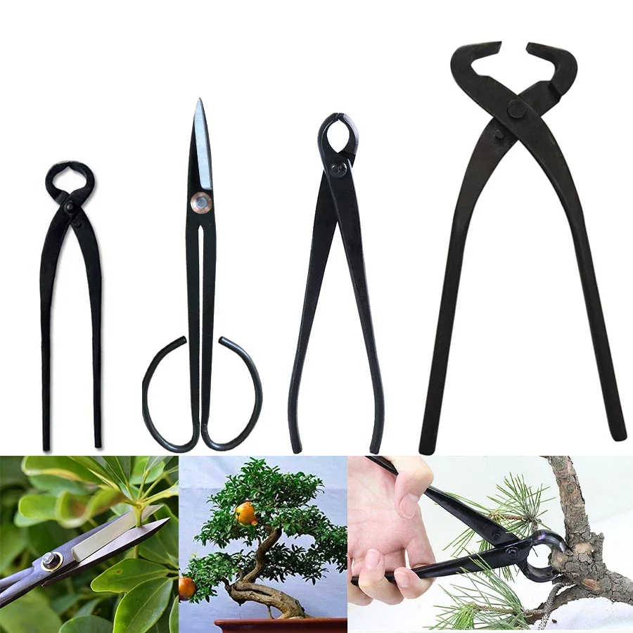 Bonsai Botão Cortador Côncavo Edge Cutter Ball Shear Scissors Paisagem Modelagem Ferramentas de Jardim 1pc Profissional