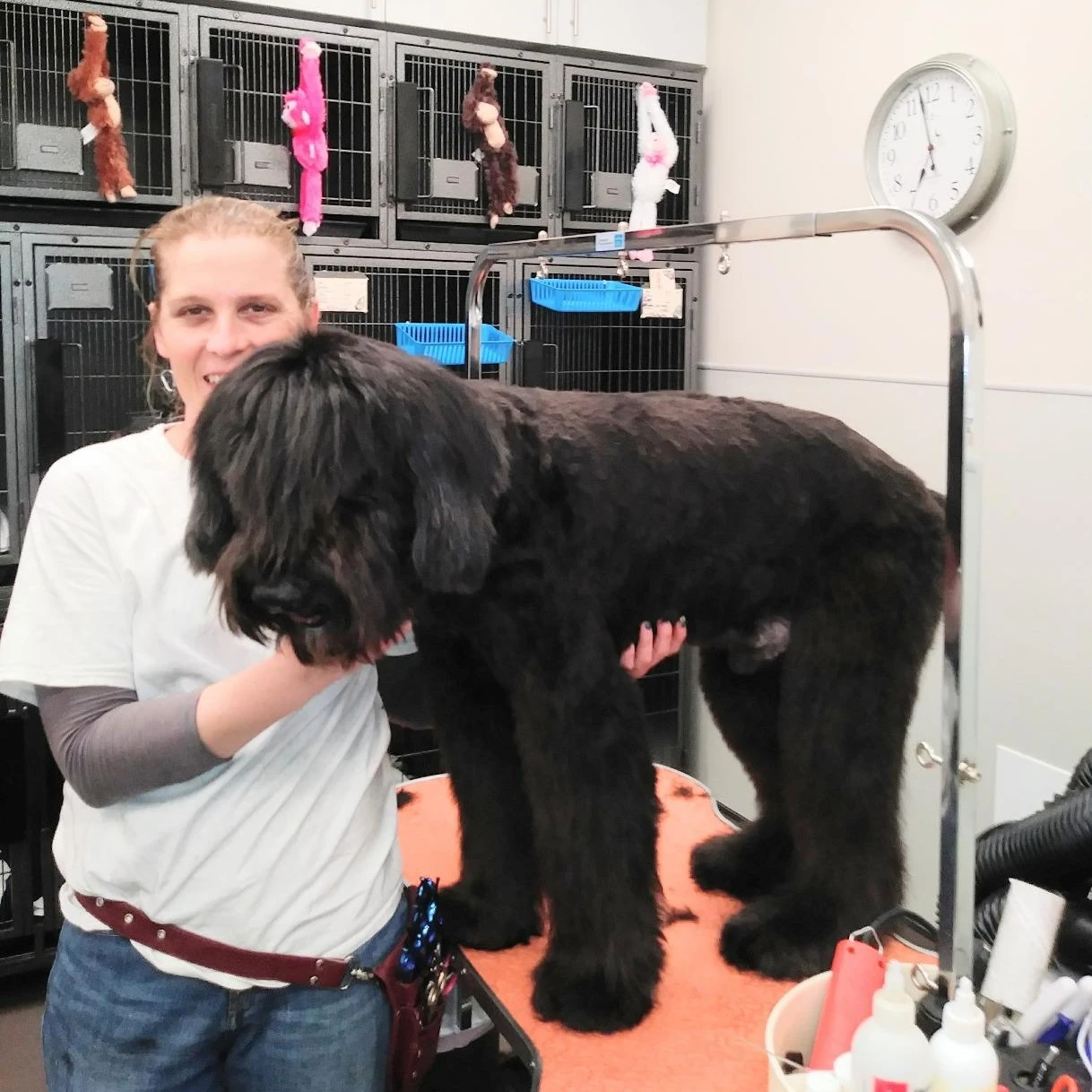 شفرة A5 مناسبة لمعظم ماكينة تشذيب شعر الكلاب الأليفة Andis & Oster ماكينة تشذيب شعر الكلاب هاينيجر لاب موزر