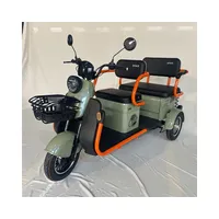 New Model High Speed 2 Row Electric Tricycle Elderly 60v 800W Household Leisure Pick Child Electric Scooter Electro Trike