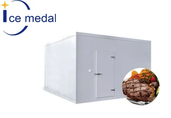 Easy to install cold store freezer room cold storage for food storage
