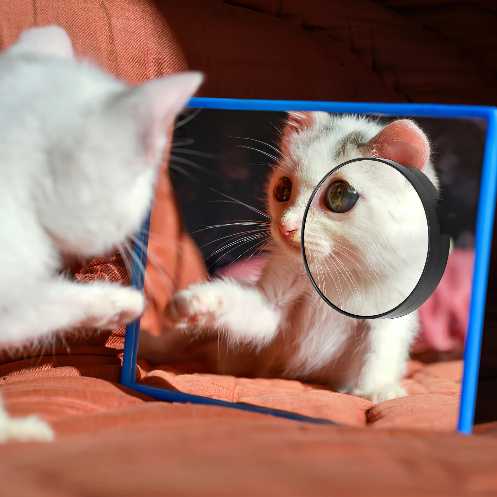 Miroir de maquillage loupe 5x, miroir de poche rond Compact de 8.8cm, montable au mur de salle de bains avec 2 ventouses de voyage