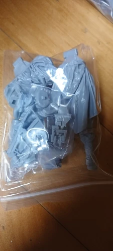 Buyer photo of this resin kit