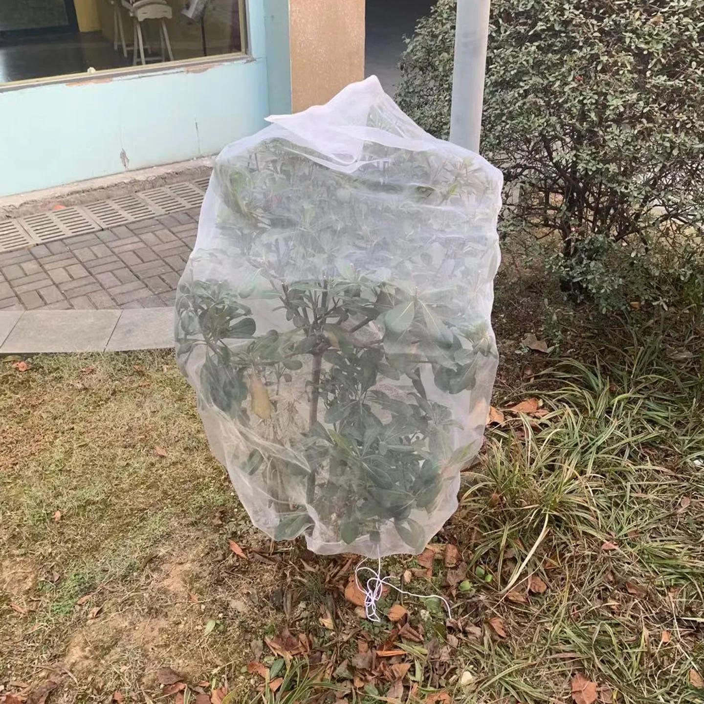 

Garden Fine Mesh Insect Netting Covers For Greenhouse Breathable Light Protect Vegetable Plants Fruits Flowers Tree Net