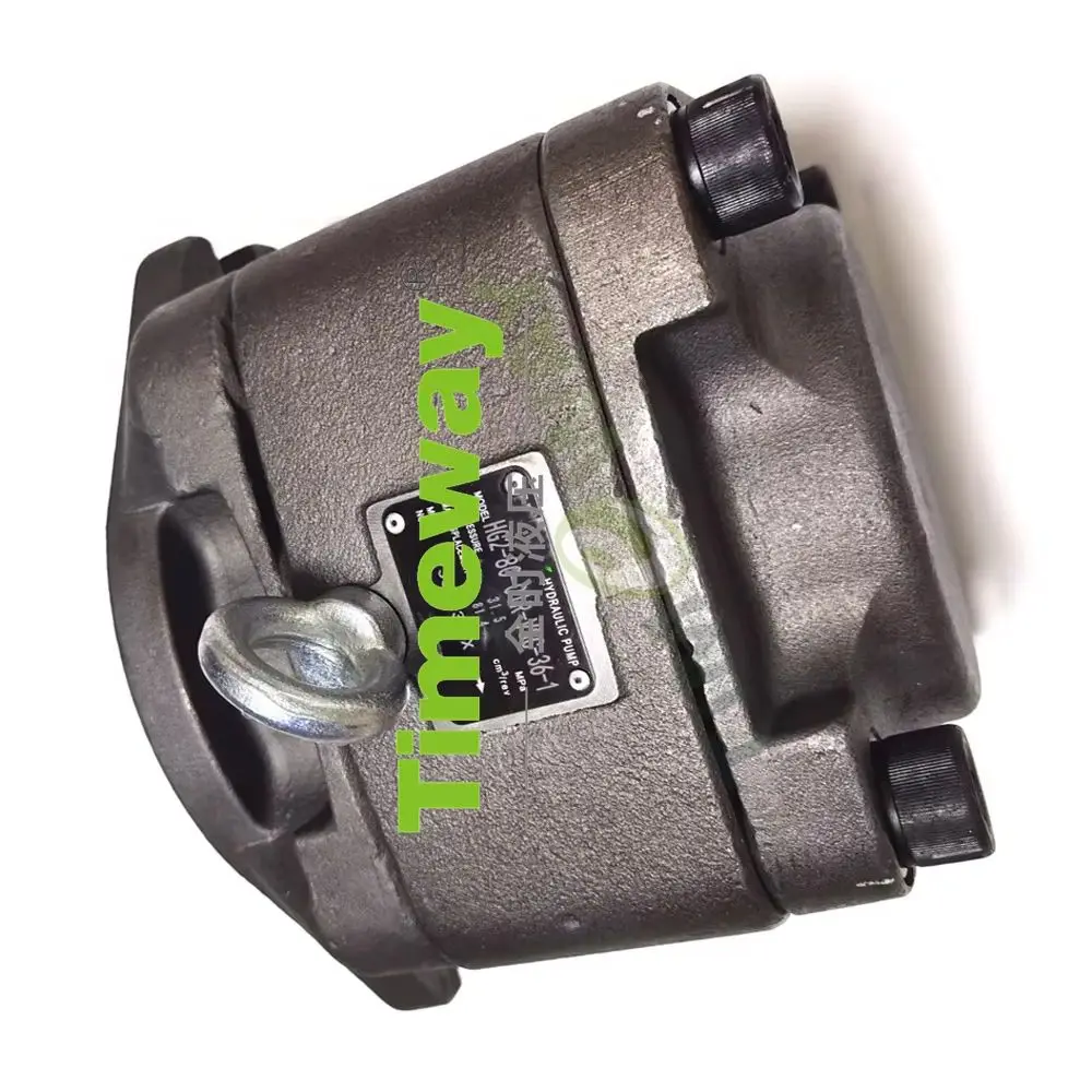HG2 Hydraulic Pump Gear Pump HG2-80-01R-VSC High Pressure Industrial Gear Oil Pump for Injection Molding Machine HG2-80