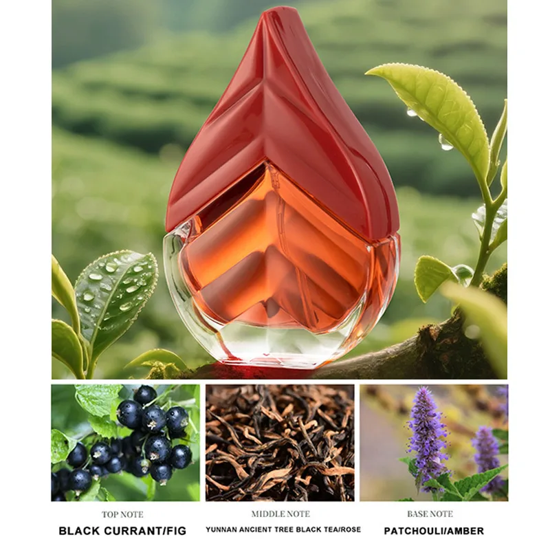 Spray de perfume de té negro y verde, aroma fresco y limpio para hombres y mujeres, arándamota/cedro/molde/grosella negra/pactouli/ niebla de fragancia ámbar