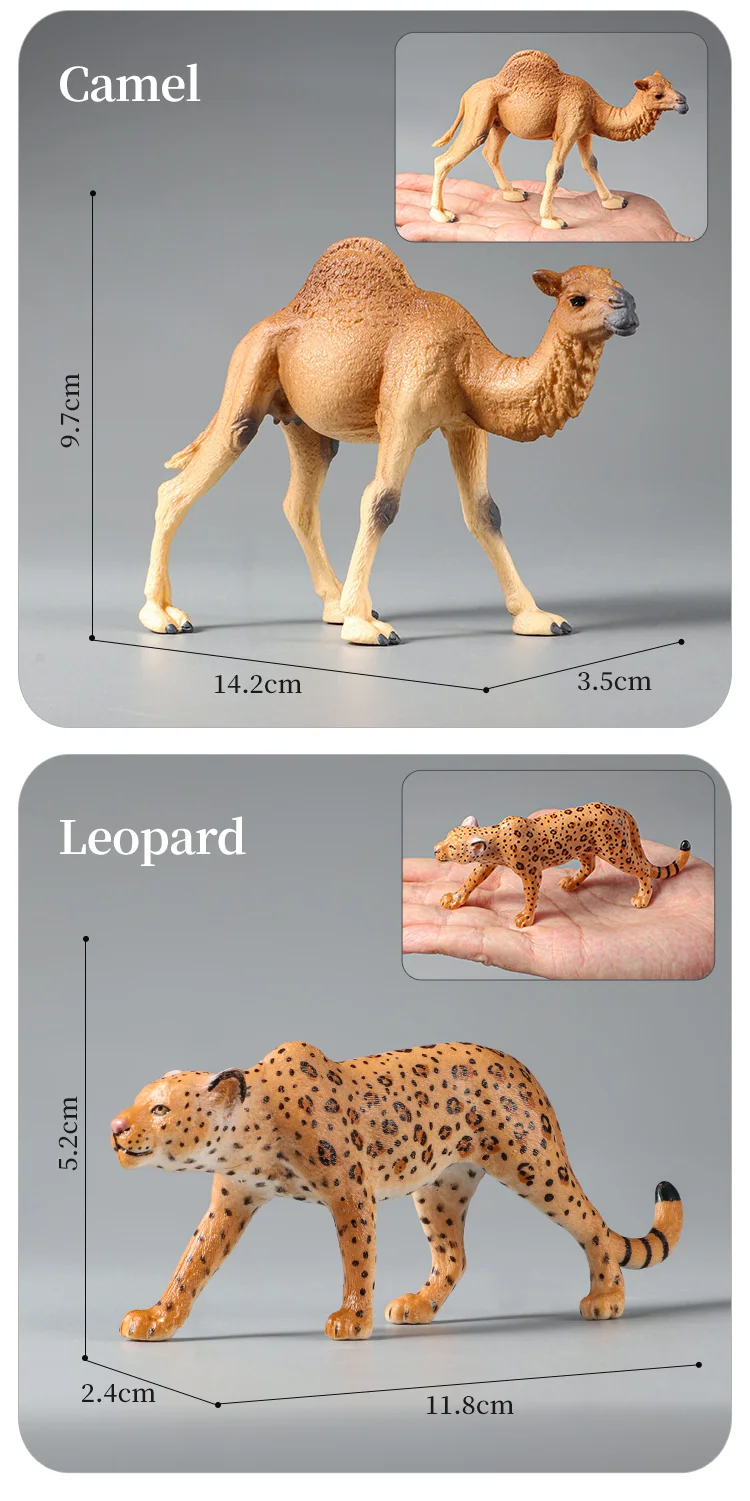 Montessori Wildtiere Modell Spielzeug Set – Löwe Elefant Antilope Actionfiguren Miniatur Zoo Figuren Pädagogisches Geschenk für Kinder – Detail 10