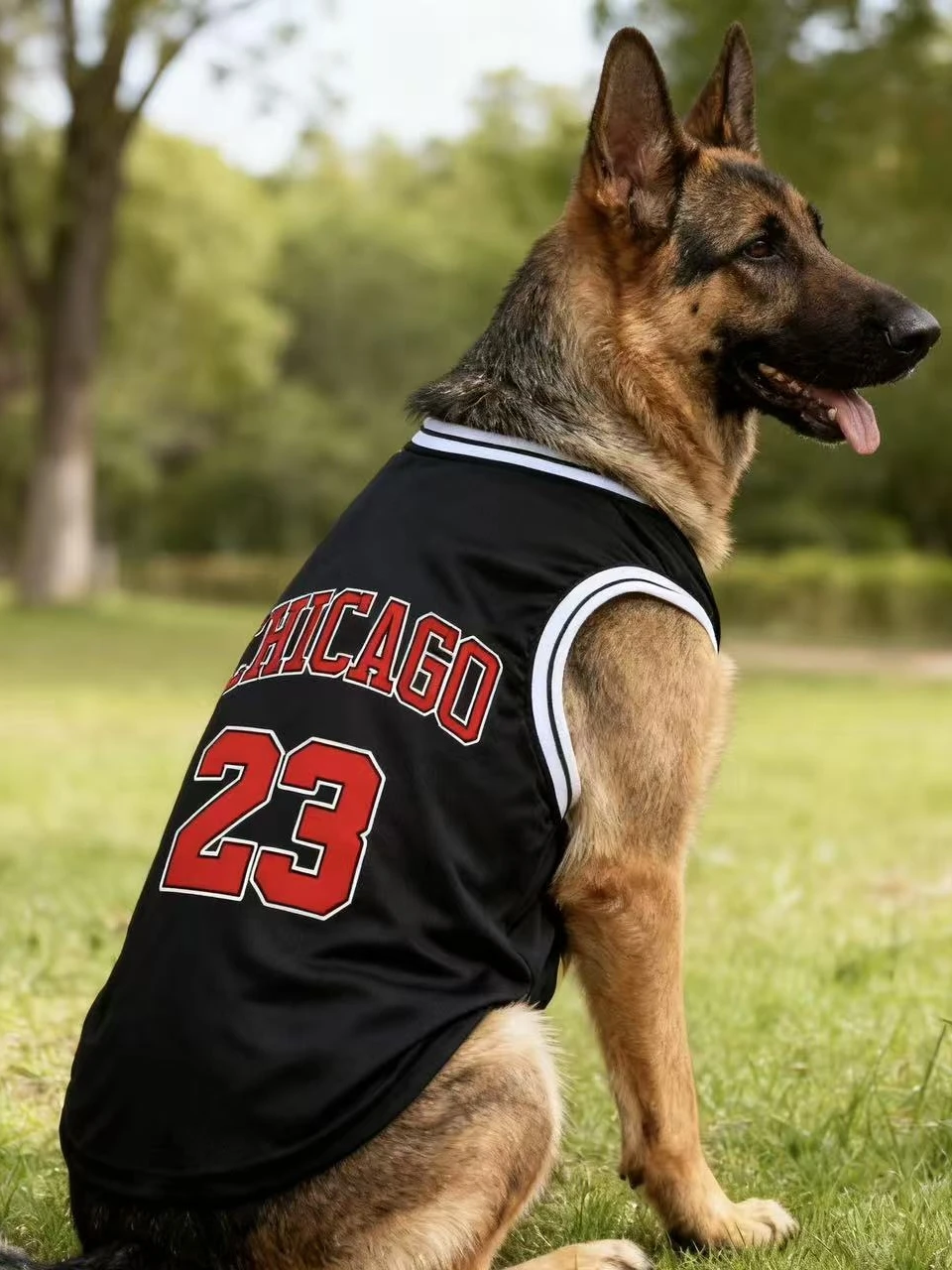 Sommerliches, leichtes, atmungsaktives Hundesport-Tanktop, Stil 23, für mittelgroße und große Rassen, Dobermann, Golden Retriever, Deutscher Schäferhund – Detail 3