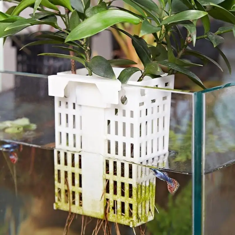 QX2E Versatiles Thin Profile Wall Planter Suitable for Both Fish Tanks and Gardens