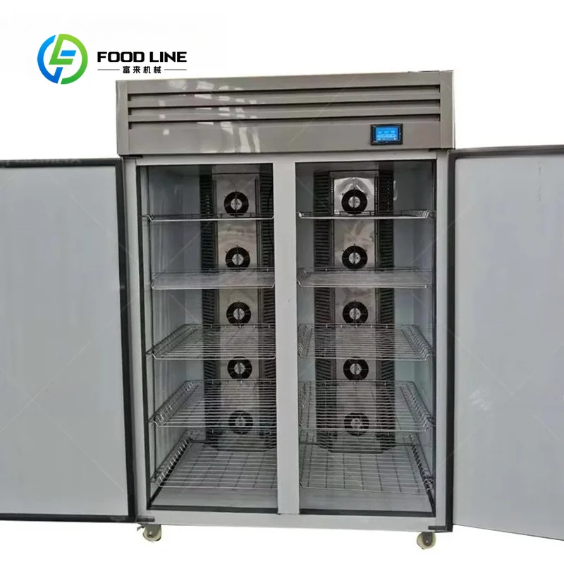 Industrial Thawing Cabinet 80kg Double Door All Stainless Steel Low Temperature High Humidity Food Preservation customized