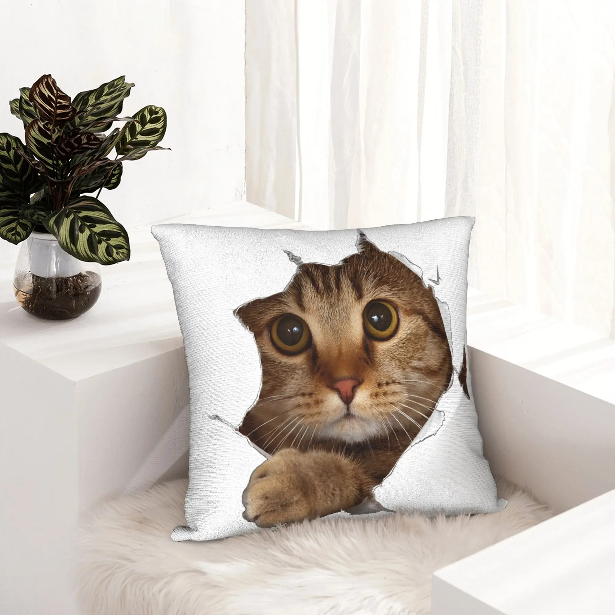 Sweet Kitten Torn Cloth Cat Lover Cat Owner Cat Lady Pillowcase Cushion Cover Decorations  Throw Pillow Case Cover Home Zipper