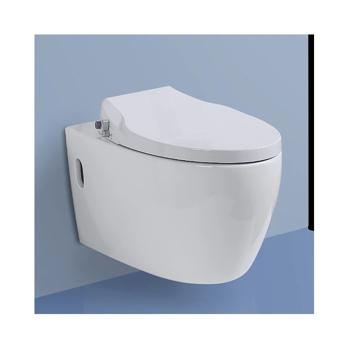 Simple Washdown Flushing Ceramic Toilet Without Electricity Wall Hung Mounted Smart Toilet Commode