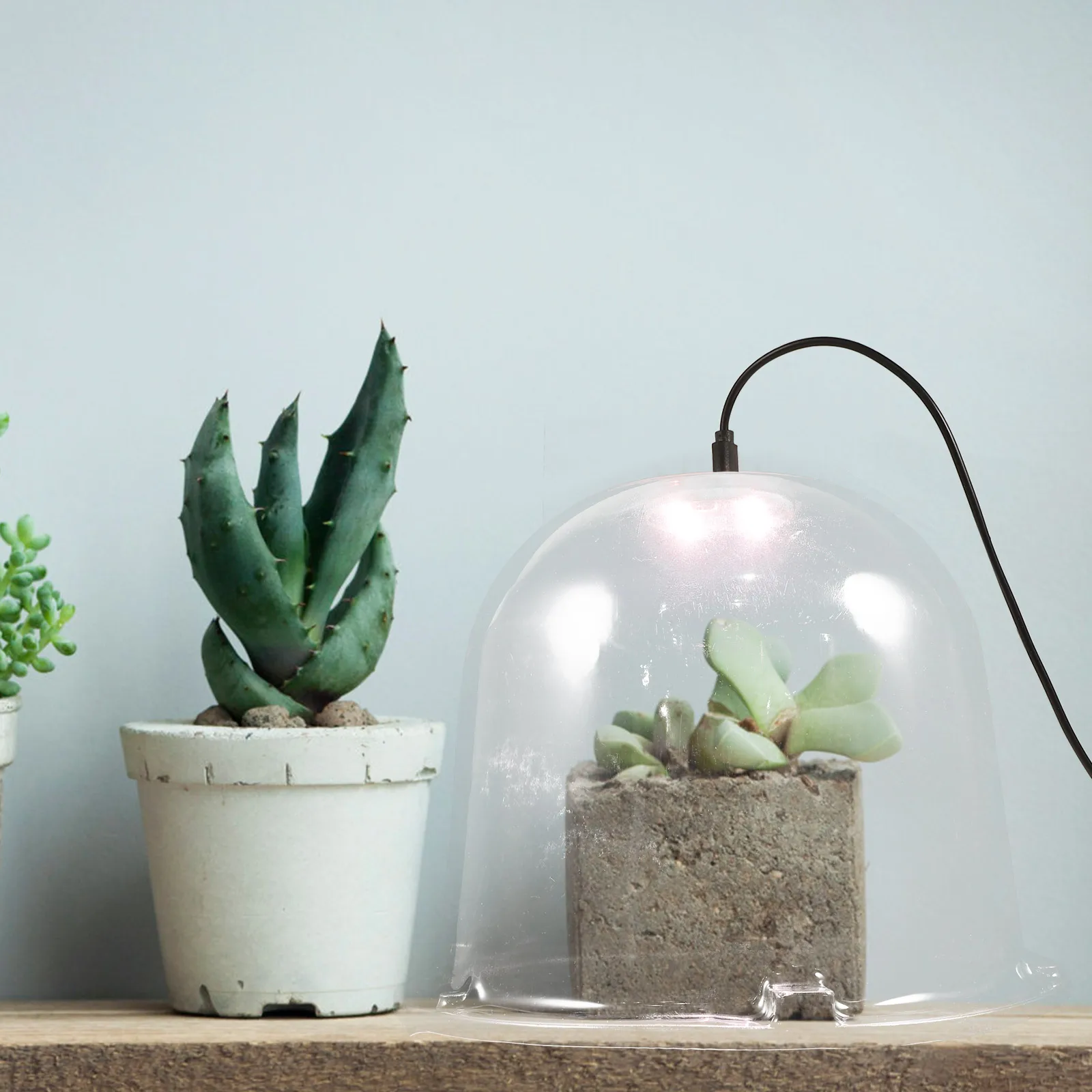 

5pcs Set Transparent Humidity Garden Gardening Reusable Plant Dome Dome Set Plant Bell Garden Accessory Cover
