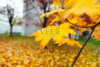 

Сумка-чехол для хранения радиоуправляемых моделей автомобилей KYOSHO 1/10 1/8 RC Crawler TRX4 Axial SCX10 D90 Tamiya CC01, 55*20*30 см