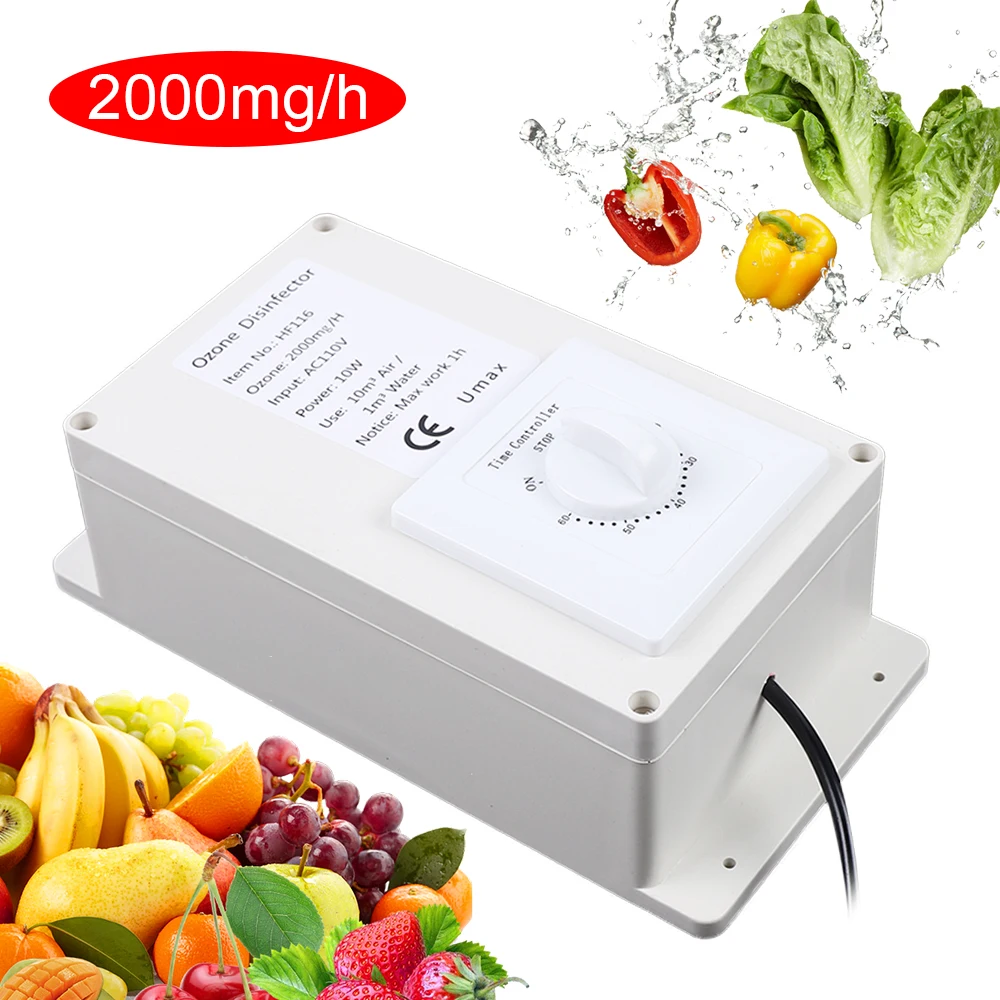 Portable Ozone Generator 2000mg Air Water Sterilizer Purifier Fruits Vegetables Water Air Sterilizer