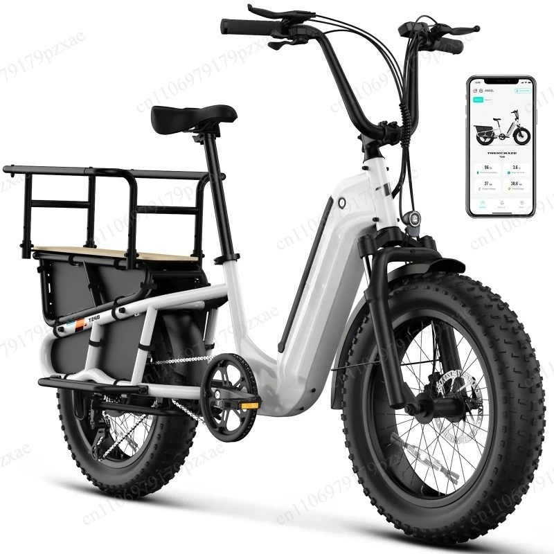 20 Inch Long Tail Folding Electric Cargo Bike 48V Family Commuter Ebike with Large Rear Rack