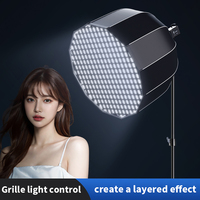 SH 33x60cm/60x90cm Honeycomb Softbox WIth Honeycomb Grid & Diffusers Quick Release & Fold Photo lighting kit Photography