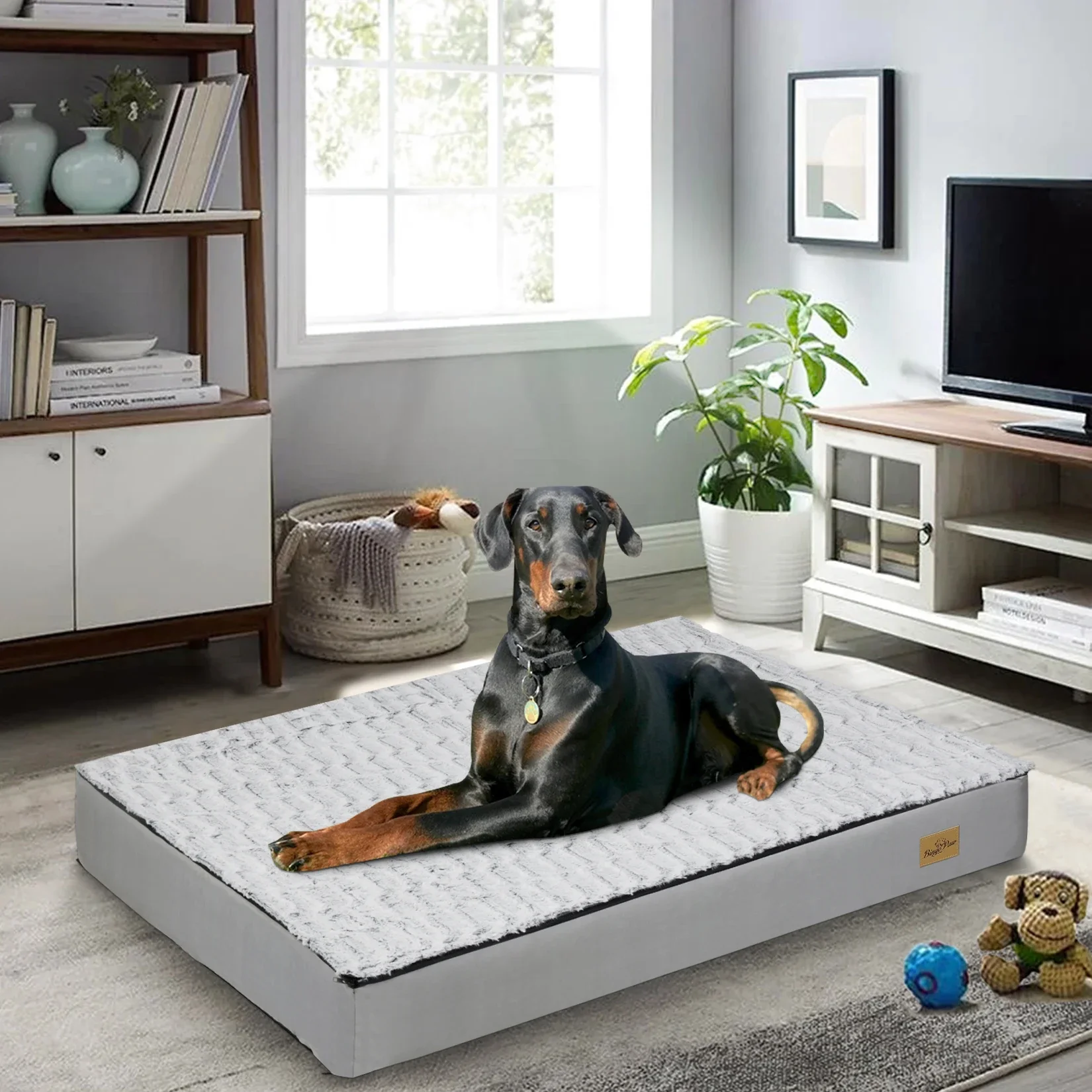 Orthopedique iluminado personalizable gris para chien L XL 2XL 3XL, apaisant iluminado para mascotas, Base en mousse éponge douce,