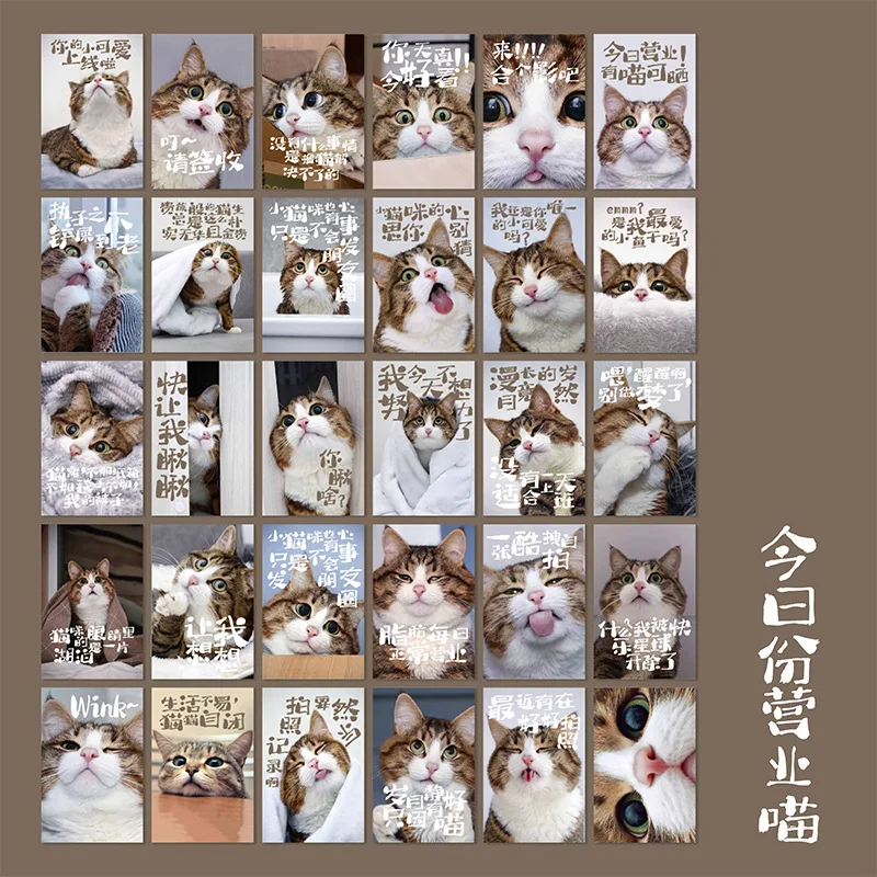 30 Sheets/Set Adorable Pet Go Out Series Postcard Cute Cat Photo Card Greeting Message Cards Student Christmas New Year Gift