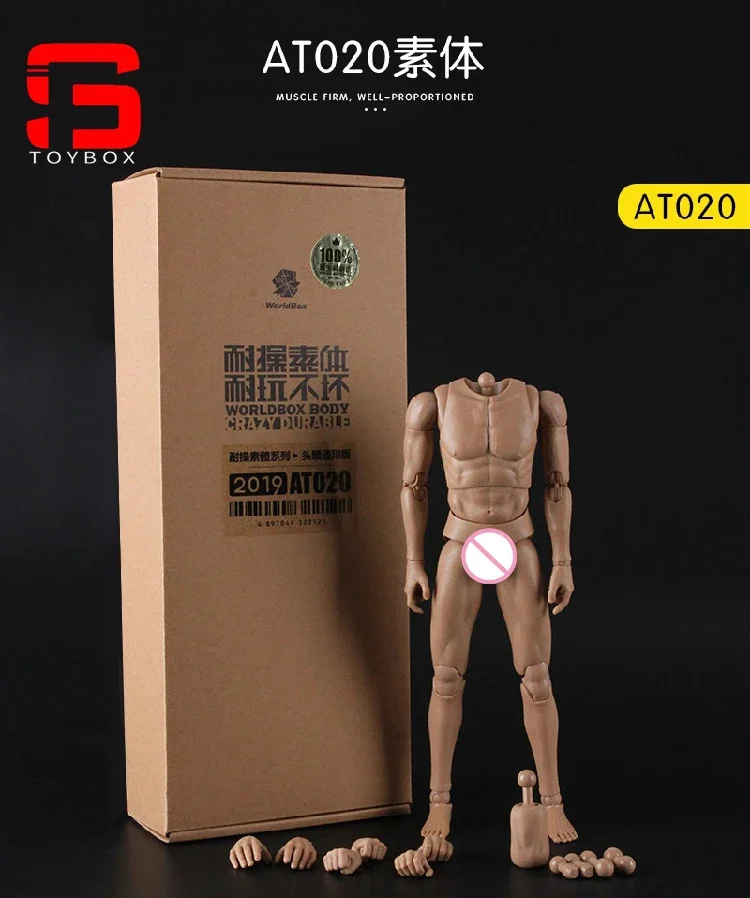 WorldBox 1/6 AT011 AT012 AT016 AT017 AT018 AT020 AT025 AT027 AT030 AT032 Muscolare Maschio Corpo Comune Action Figure Bambola Durevole