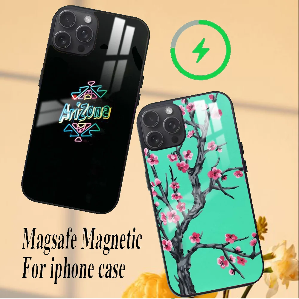 Vaporwave Arizona Iced Tea Aesthetic Phone Case For iPhone 16 15 14 13 12 11 PRO MAX PLUS Mini Magnetic wireless mirror phone ca