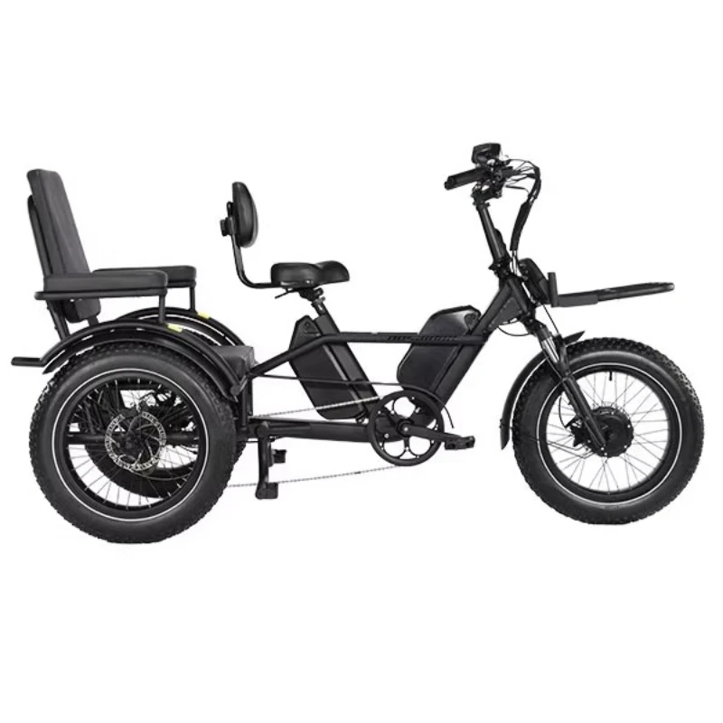 Dreirad-Fahrrad mit Doppel-Fahrradpedalen, Differentialgetriebe und Dreiradantrieb für Erwachsene