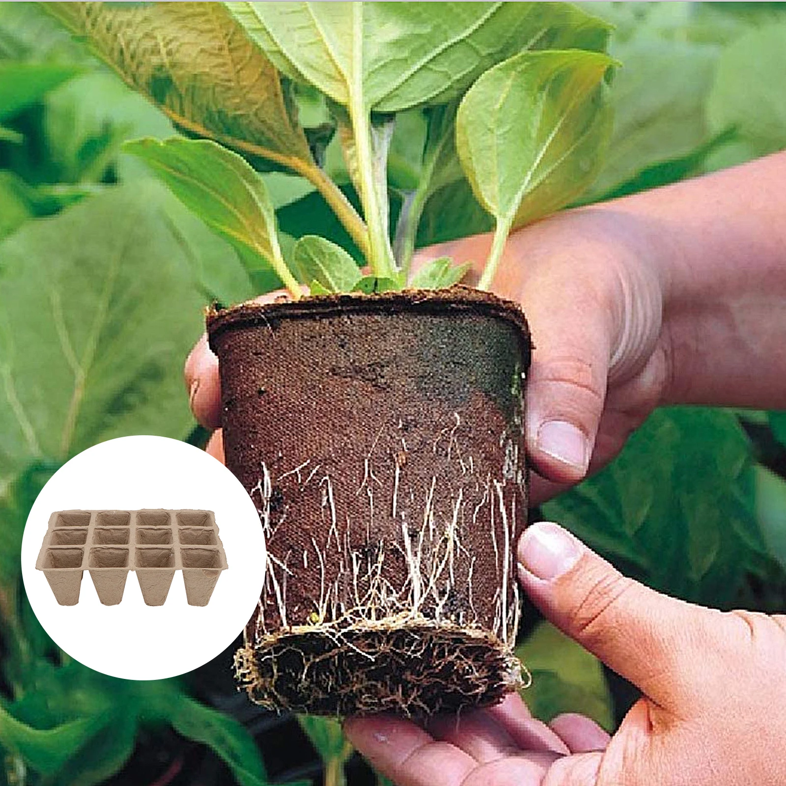 

1set Pulp Seedling Pots Biodegradable Plant Nursery Containers Moisture Proof Warmth Retaining For Vegetables Flowers Herbs