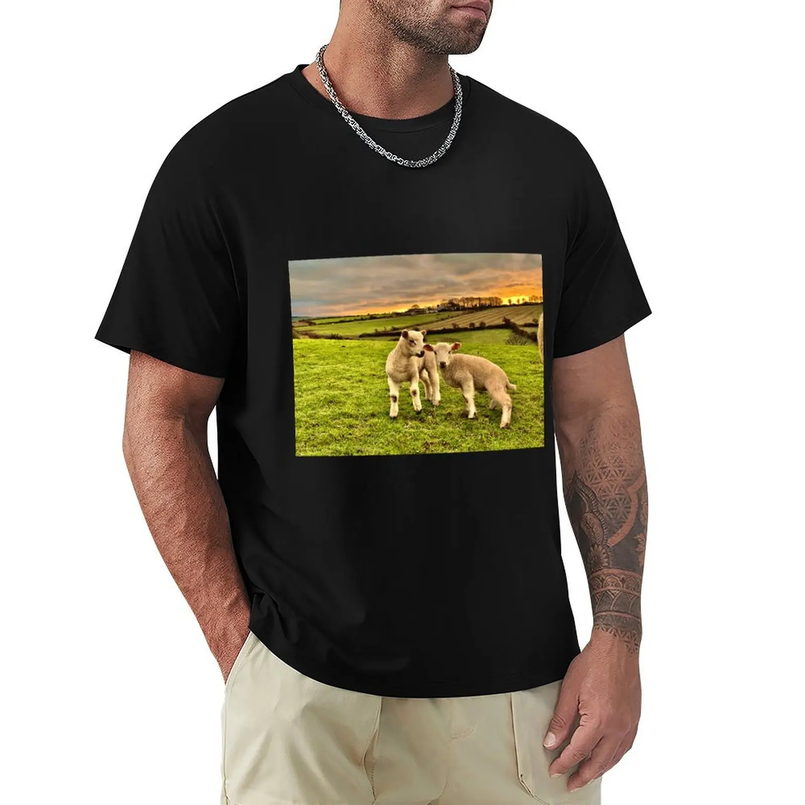

Two Little Lambs T-Shirt Street Style Casual Tee Shirt