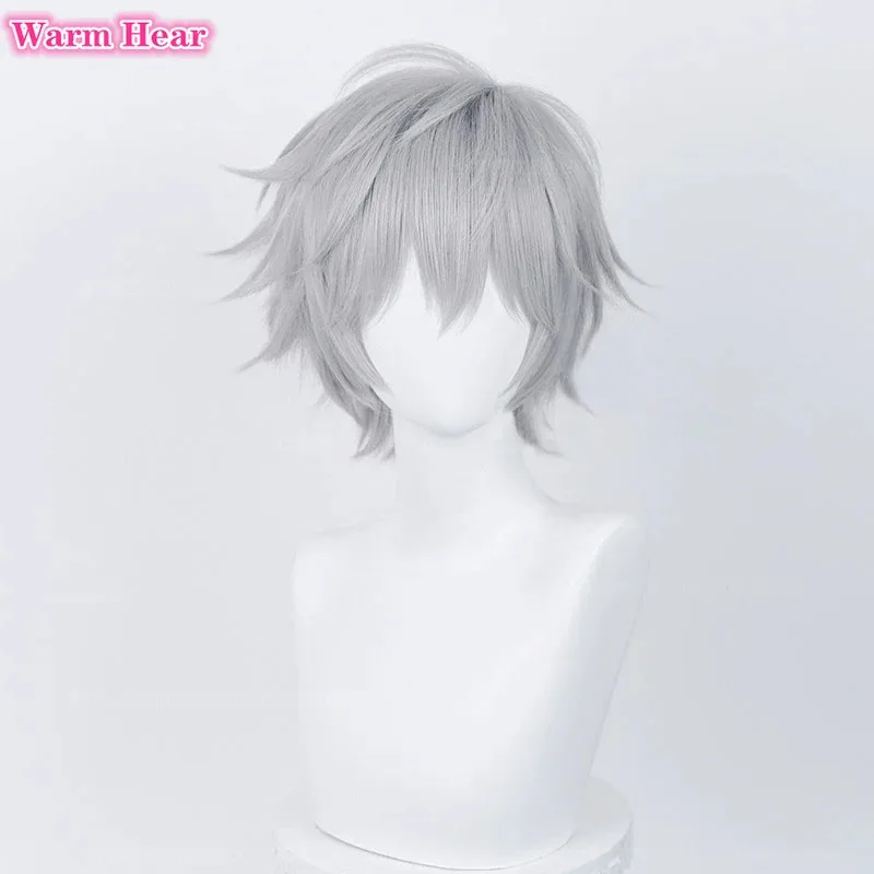 Synthetic EVA Purple Gray/Silver Grey Kaworu Nagisa Cosplay Anime Heat Resistant Hair Wigs + Wig Cap
