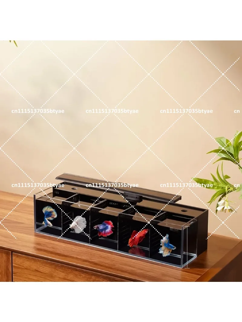 Multi-format modular partition aquarium system self-cleaning glass fish tank built-in filter small ecological water change