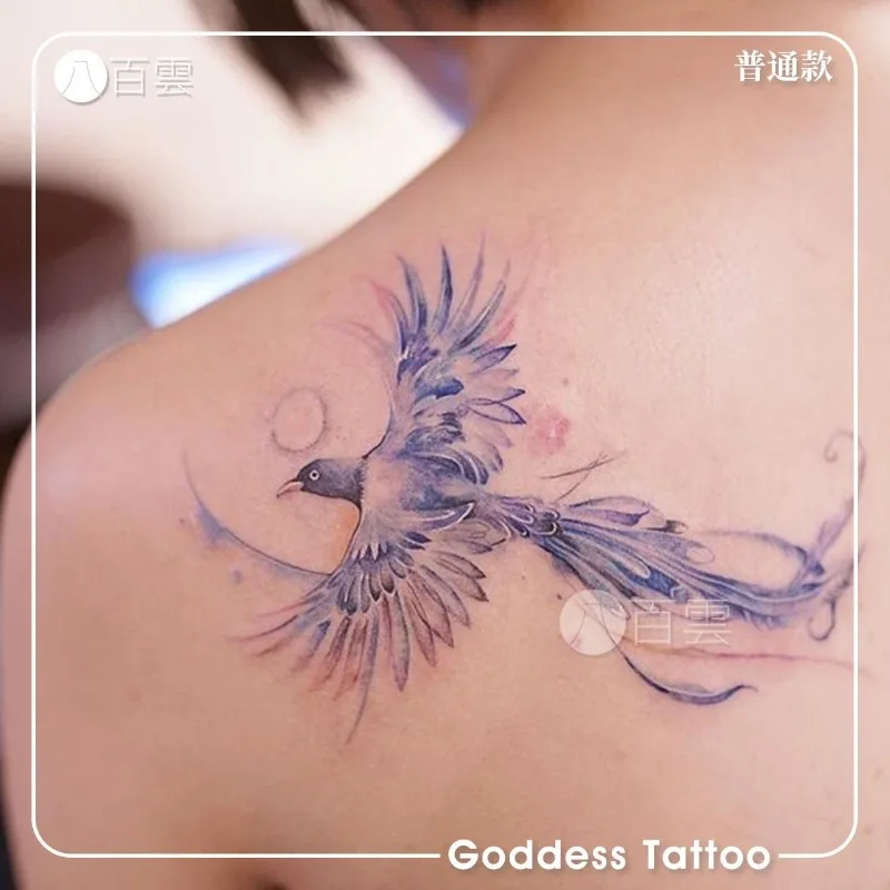 Tatuagem Temporária Phoenix Etiqueta para Mulheres, Tatuagem Falsa Duradoura, Tatuagem Sexy da Clavícula, Arte Bonito Do Pássaro, Tatuagem Falsa, Tatuagem Impermeável