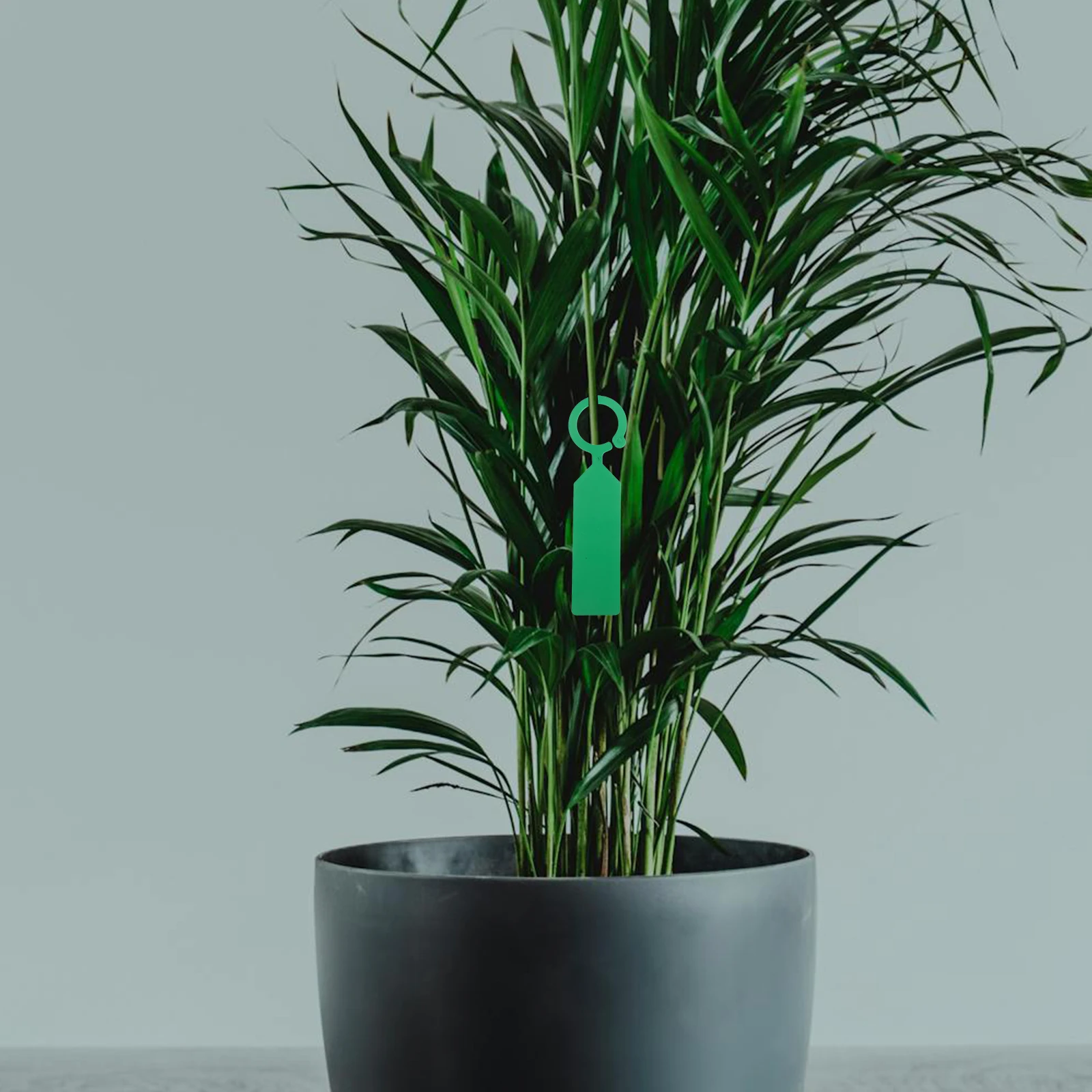 

200pcs Garden Plant Labels Waterproof Plastic Nursery Vegetable Outdoor Flower Greenhouse Tree Tags Reusable for Labeling