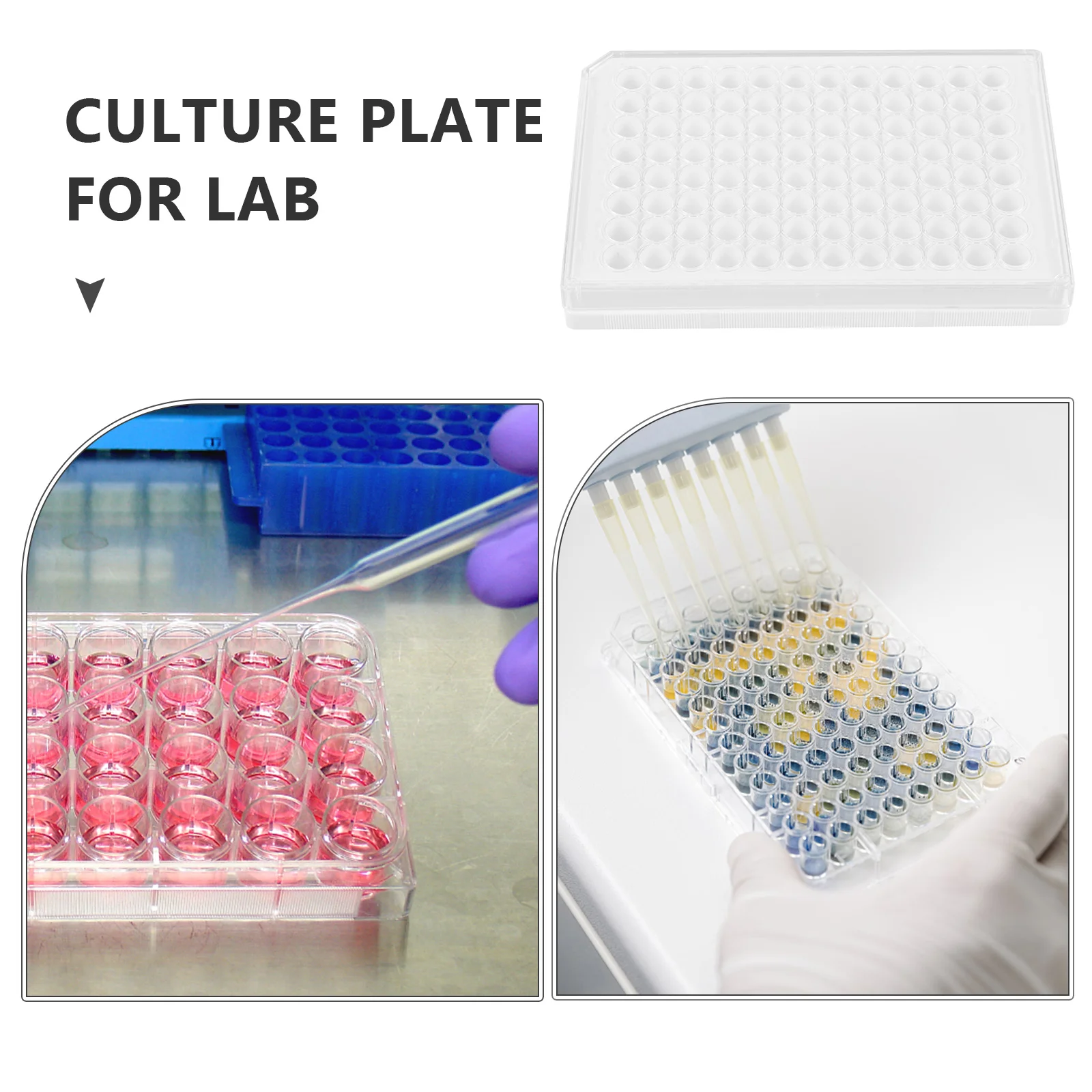 

96 Well Transparent Cell Culture Plate Flat Tissue Culture Plate Multi Functional Reusable for Cell Growth