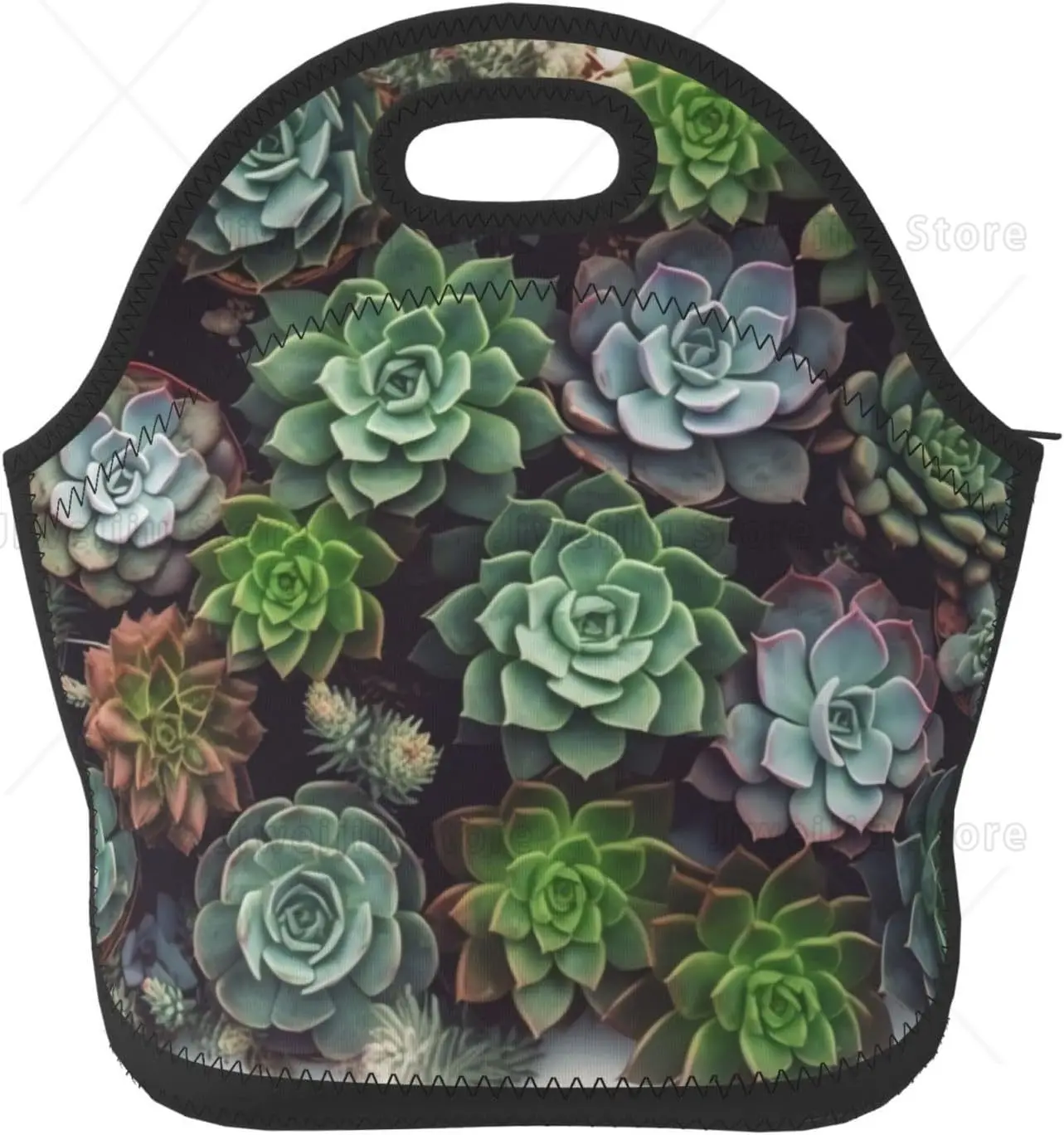 

Neoprene Lunch Bag Succulent Plants Insulated Lunch Box for Women Men Tote Reusable