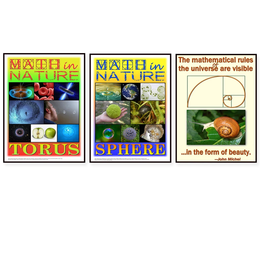 Mathematical rules and beauty, fractals, spheres, symmetry and torus, nature classroom math posters, science gifts