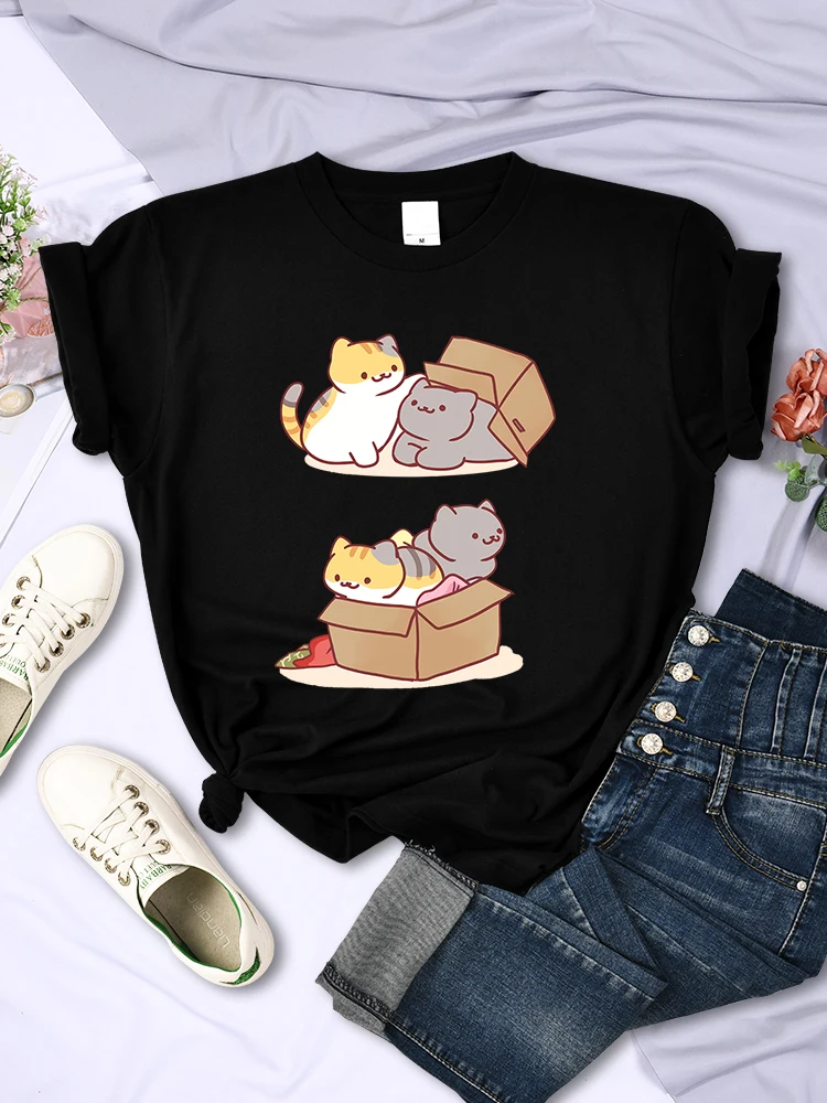 Two Cute Cats Playing Hide And Seek In Cartons Women T-Shirt Fashion Vintage T Shirt Harajuku Clothes Summer Streetwear T Shirts