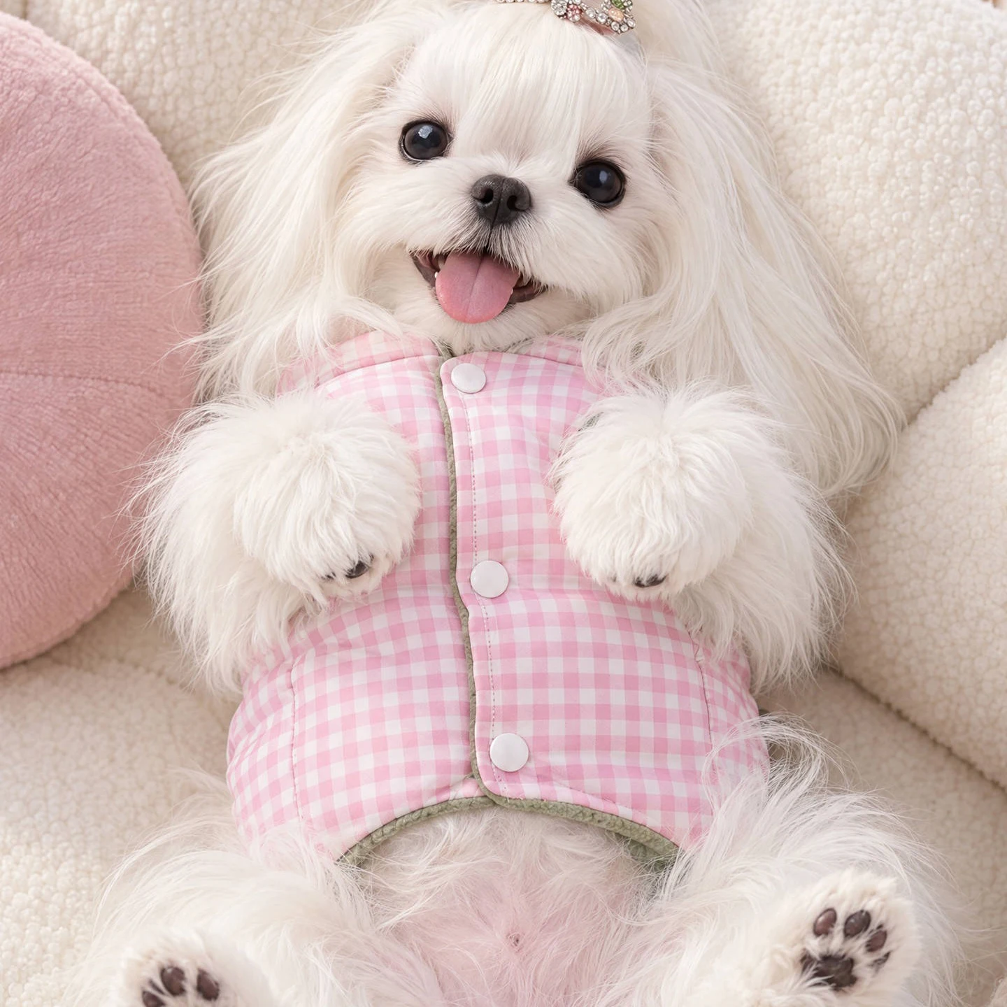 2026 Sweet Plaid Pet Down Jacket: Classic Button-Up Warm Dog Clothes, Thick Reversible Cotton Coat for Cats