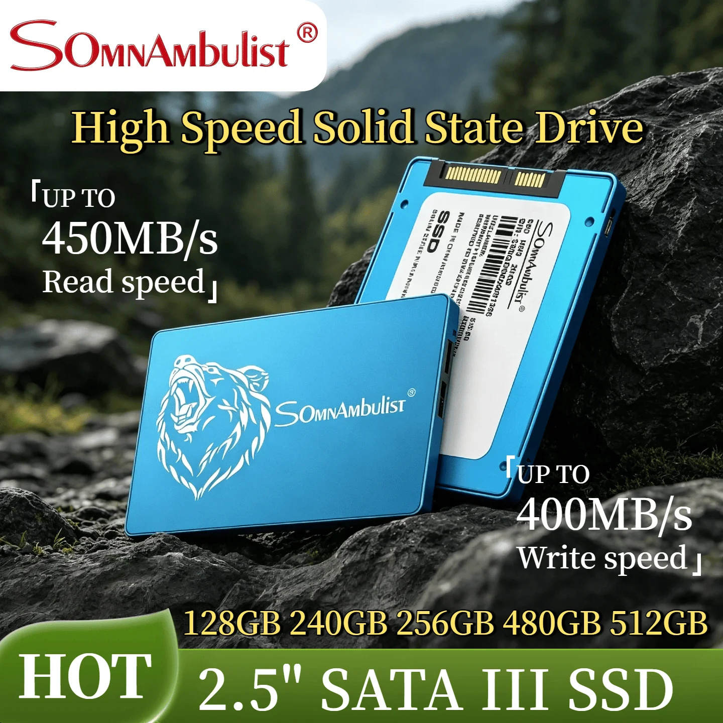 

2.5 Inch SATA Interface Solid State Drive 1TB Large Capacity SSD for Laptop and Desktop High Speed Internal Storage Pro Max