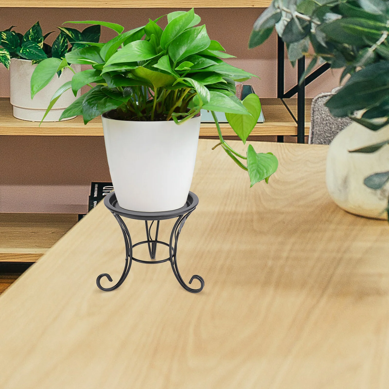 

Mini Flower Stand Iron Metal Small Pot Holder for Succulent Plants Indoor Outdoor Decor Black Plant Stand Plant Stands Indoor