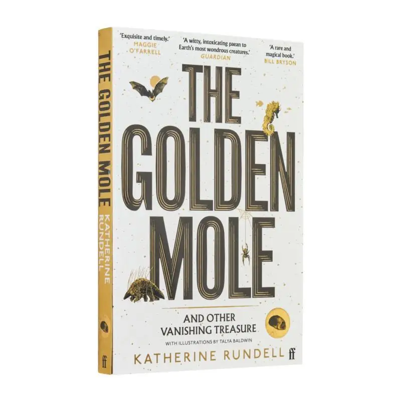 الخلد الذهبي وغيرها من الكنز التلاشي كاثرين رونديل فابر وفابر 9780571362509 كتاب