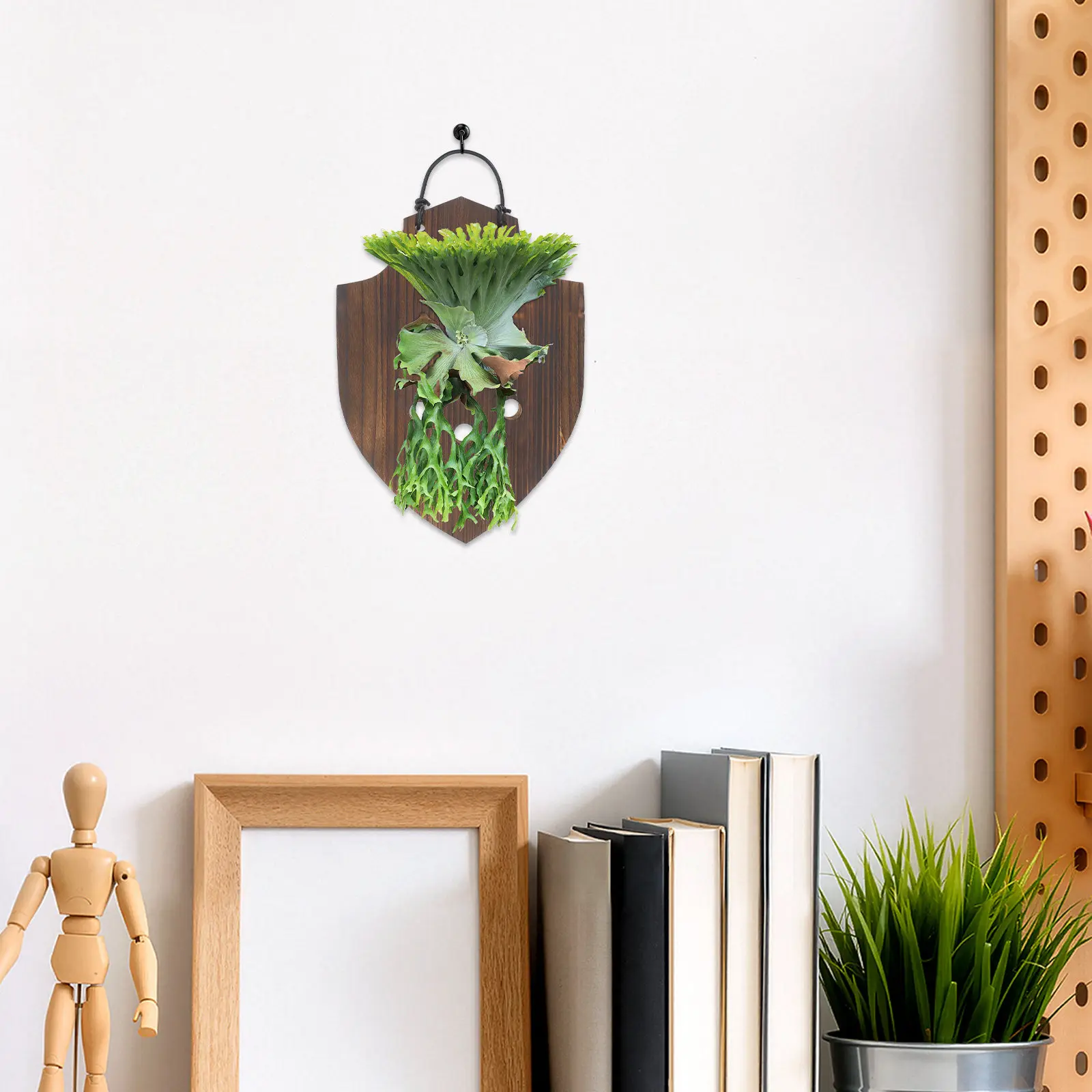 Wooden Plant Mounting Board Solid Wood Staghorn Fern Wall Planter Indoor Vertical Plant Holder Living Room Balcony Fern Mount