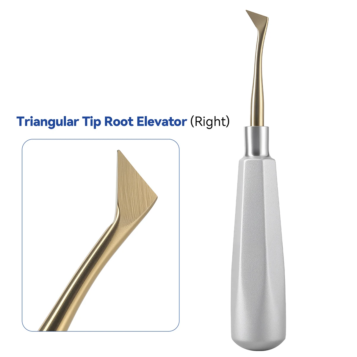 1Pc AZDENT Dental Aufzug Edelstahl Zahnarzt Chirurgische Instrument Zahn Extraktion Gerade Dreieckige Zähne Aufzug – Detail 11