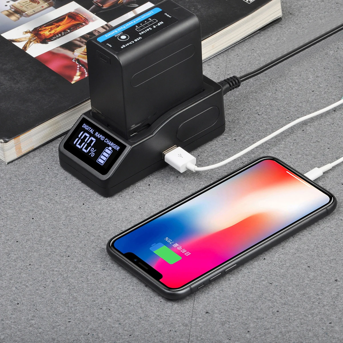 Быстрое зарядное устройство для Sony NP-F970 F770 F750 F550 FM50 FM500H с автомобильным зарядным устройством