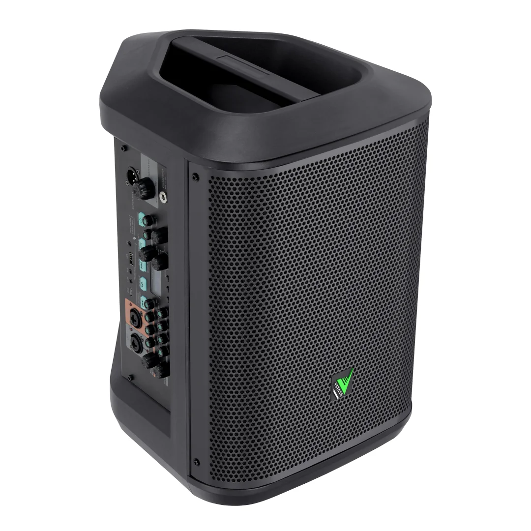 Active 8 inch 2 way Point Source Speaker Professional PA Speaker for Stage Live Gig Church Karaoke