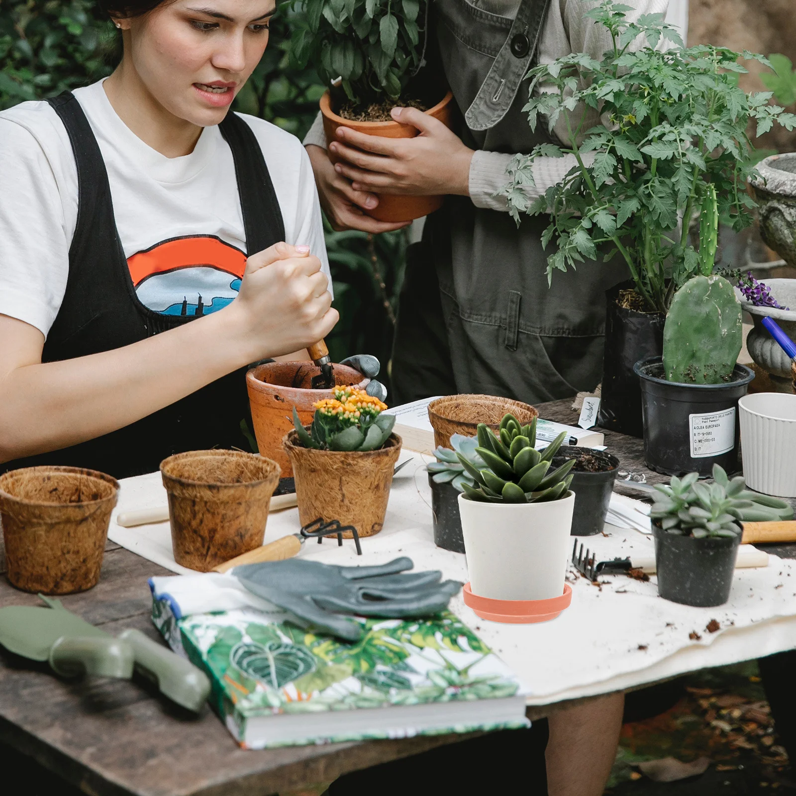 

6 шт. круглый гончарный поднос для растений, цветочный горшок, блюдце, поднос для кашпо, домашний и уличный уловитель воды, садовые круглые подносы для капель растений