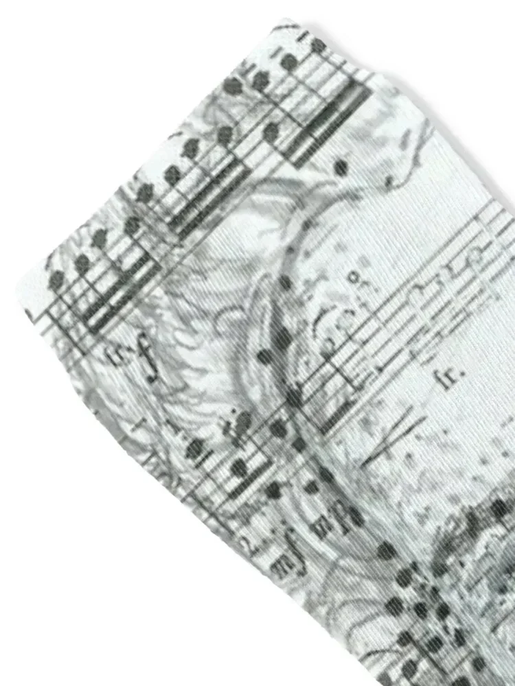 Classical Music Johann Bach Socks bright garter Crossfit football fashionable Socks Women Men's